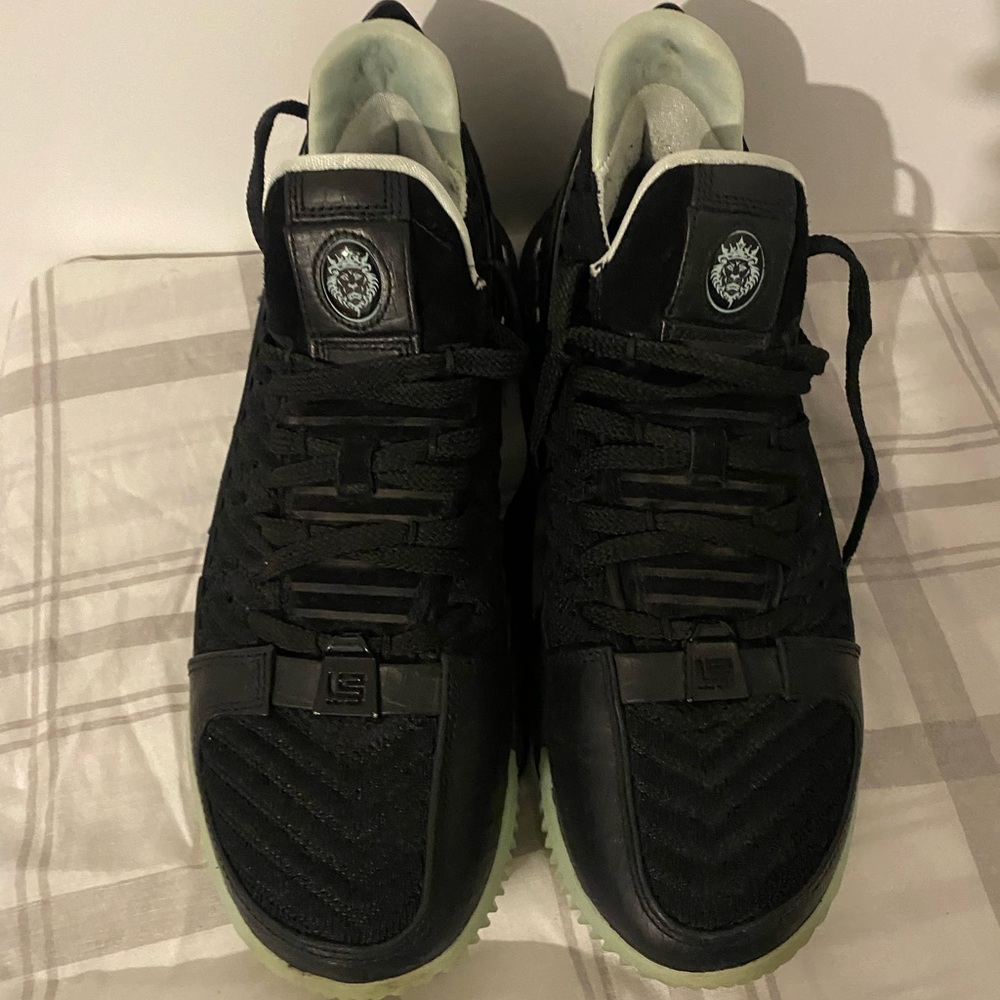 Lebron James shoes inside gym basketball shoes